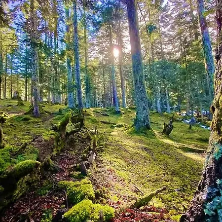 A 1400m - Station Du Mourtis * Boutx