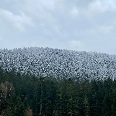 A 1400m - Station Du Mourtis * Boutx