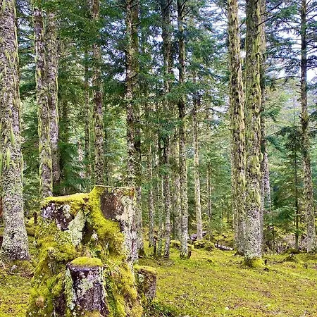 Apartament A 1400m - Station Du Mourtis