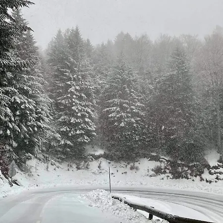 Apartament A 1400m - Station Du Mourtis