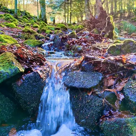 A 1400m - Station Du Mourtis Boutx