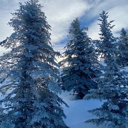 A 1400m - Station Du Mourtis Boutx