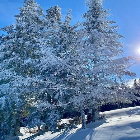 A 1400m - Station Du Mourtis Apartament