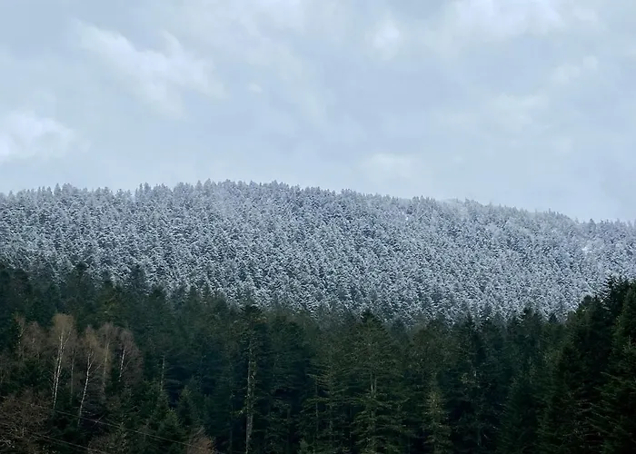 à 1400m - Station Du Mourtis * Boutx