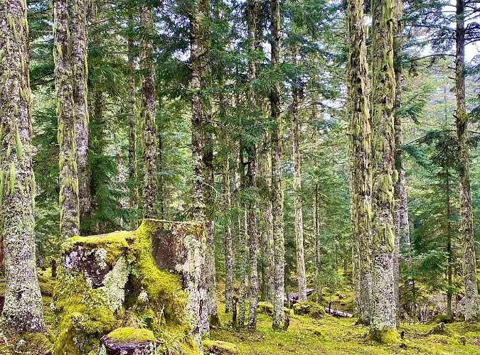 Appartement à 1400m - Station Du Mourtis