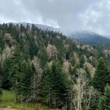 A 1400m - Station Du Mourtis * Boutx